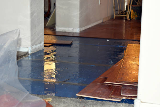 Professional Water Damage Restoration technician working in Bennett, NC